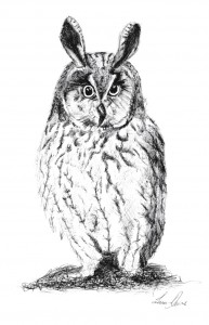 Pen Illustration