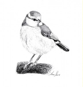 Pen Illustration