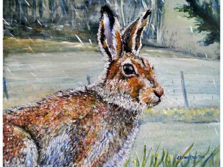 'O Mulconry Irish Hare