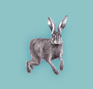 Image of hare running at leona devine ceramic artist